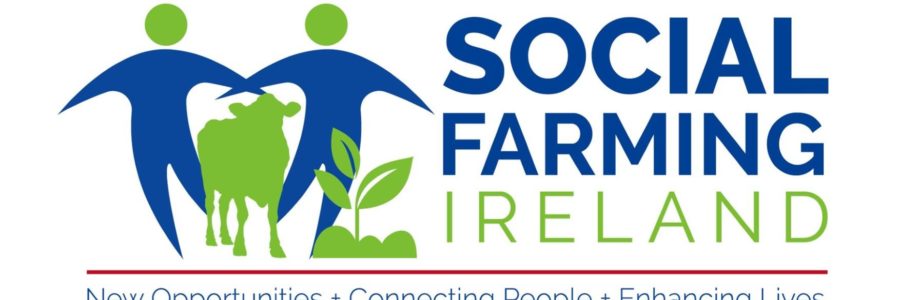 Viaggio studio Fattorie Sociali Irlanda